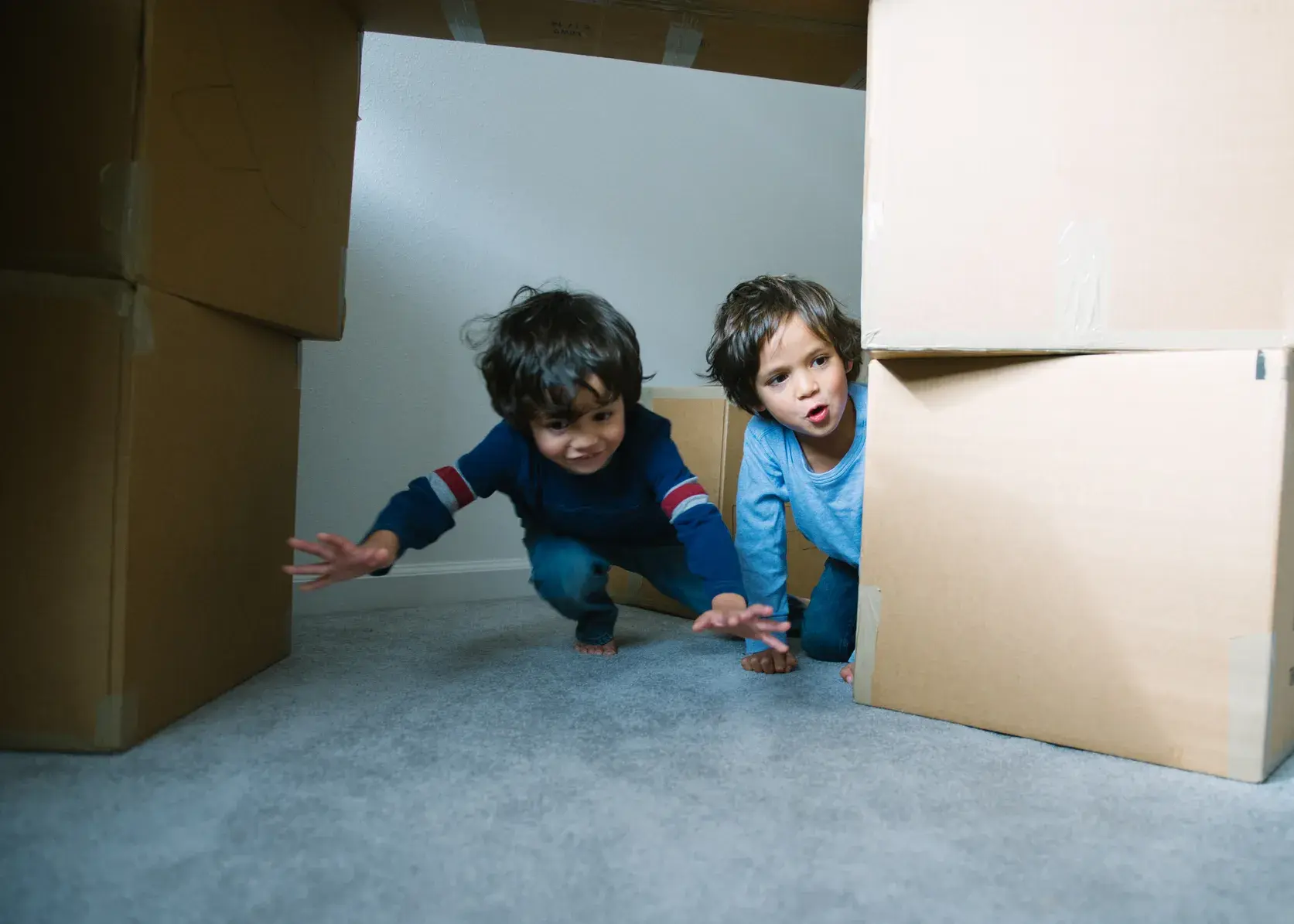 Zwei kleine Jungen spielen zwischen Umzugskartons. Kinder krabbeln zwischen Pappkartons auf einem Teppichboden während eines Familienumzugs hervor, einer trägt ein blau gestreiftes Shirt und der andere ein hellblaues Oberteil.